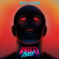 Виниловая пластинка Wild Beasts / BOY KING (12LP)